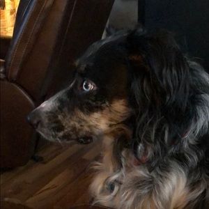 Meet your Posher, Peg